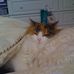 Molly Crumpton - Facebook
