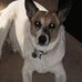 Molly Dailey - Facebook