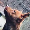 Molly Daugherty - @itz_paris_lel - TikTok