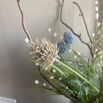 Molly Daugherty - @thistleberryandco - Instagram