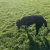 Molly Davies - Facebook
