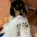 Molly & Maurice | Valladares de León - @maurice_molly.gt - Instagram