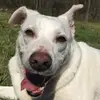 😵‍💫 - @mollythemutt0 - TikTok