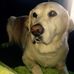 Molly Determan - Facebook