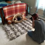 Molly Devlin - @the_molly_ann_photography - Instagram