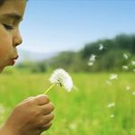 Molly DeWitt - @onslowkids - Instagram