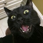 Molly Diers - @molly_diers - Instagram