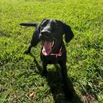 MollyDutton - @molly_dutton138 - Instagram
