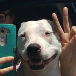 Molly Dwyer - @molly_dwyer5 - Instagram