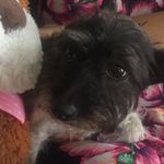@molly_eisele - Instagram