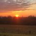 Molly Eldridge - Facebook