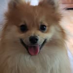 Molly Field - @smokeystoots - Instagram