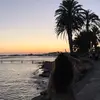 Molly - @molly_fields - TikTok