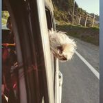 molly y floyd - @molly_floyd.3.2 - Instagram