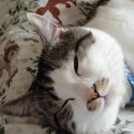 Molly Foster - Facebook