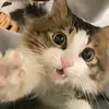 Molly Foster - @molly.foster4 - TikTok