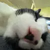 molly2gallagher - @molly2gallagher - TikTok