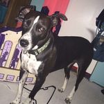Daisy Molly Garza - @daisyismineforever.love - Instagram