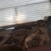 Molly Garza - Facebook
