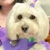 Molly Garza Ramírez - @mollygarza26 - TikTok