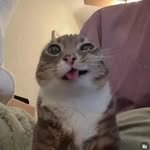 molly! - @mol.lygarza - Instagram