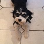 💕Molly💕 - @_molly_giles_ - Instagram