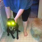 Molly Gooden - Facebook