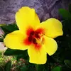 Mollie & Hadley - @mollie.ammons1012 - TikTok