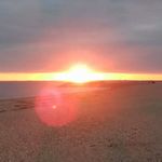 Molly Halstead - @mollyhalstead10 - Instagram
