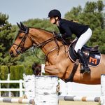 Molly Hay Sporthorses 🇺🇸🇪🇺 - @mollyhaysporthorses - Instagram