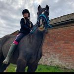 Molly Head - @mollyhead574 - Instagram