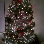 molly hendrickson - @mollyhen1967 - Instagram