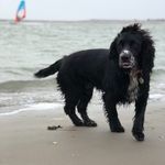 Molly Hope - @mollyhope09 - Instagram
