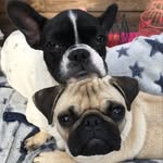 Molly Hope & Cie - @molly.hopeandcie - Instagram