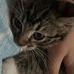 Molly Marie Hopper - Facebook