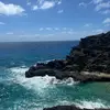 molly.howell02 - @molly.howell02 - TikTok