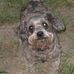 Molly Howson - Facebook