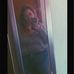 Molly K Irwin - Facebook