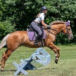 Molly Jacobsen - @equestrian_mollyelise - Instagram