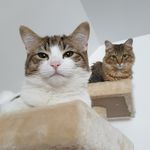 Molly and Jameson - @the_lives_of_molly_and_jameson - Instagram