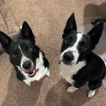 Molly and Jameson - @mollyandjameson - Instagram