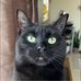 Molly Jameson - Facebook