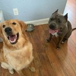 Molly, Jameson, and Caya - @thedudleytrio - Instagram