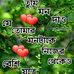 Jiarul Molla - Facebook