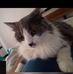 Molly Jimenez - Facebook