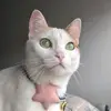 Molly Jimenez - @molly.jimenez5 - TikTok