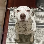 Molly Karcher - @wakeupwithmolly - Instagram