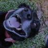 user4758202601239 - @mollyskarp0 - TikTok