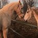 Molly Kerns - Facebook