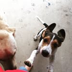Mollykissell08 - @mollykissell08 - Instagram